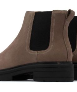 Vividvector.shopc1ecbb7880 5