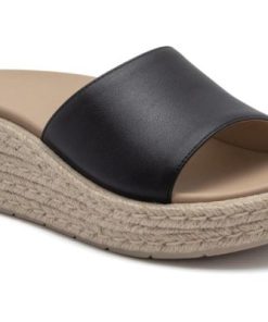 Vividvector.shopc679fe5f1e 1