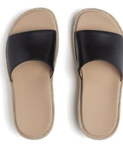 Vividvector.shopc679fe5f1e 2