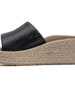 Vividvector.shopc679fe5f1e 4