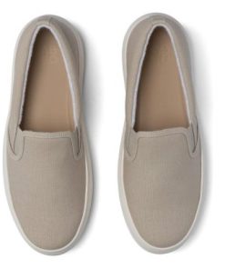 Vividvector.shopc6c35287d3 2