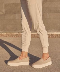 Vividvector.shopc6c35287d3 3