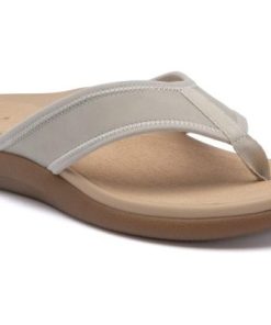 Vividvector.shopc74d12e2b0 2