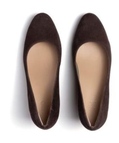 Vividvector.shopc90667cf43 2