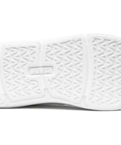 Vividvector.shopca8b83f3d1 3