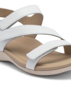 Vividvector.shopccd5ca47b8 1