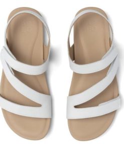 Vividvector.shopccd5ca47b8 2