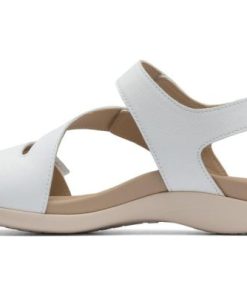 Vividvector.shopccd5ca47b8 4