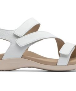 Vividvector.shopccd5ca47b8 5