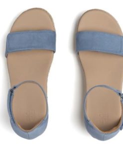 Vividvector.shopce02aa3d79 2