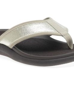 Vividvector.shopcfee2c8548 1