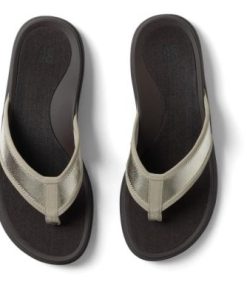 Vividvector.shopcfee2c8548 2