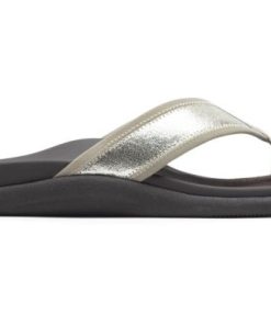 Vividvector.shopcfee2c8548 5