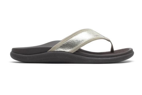 Vividvector.shopcfee2c8548 5