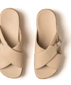 Vividvector.shopd3178144dc 2