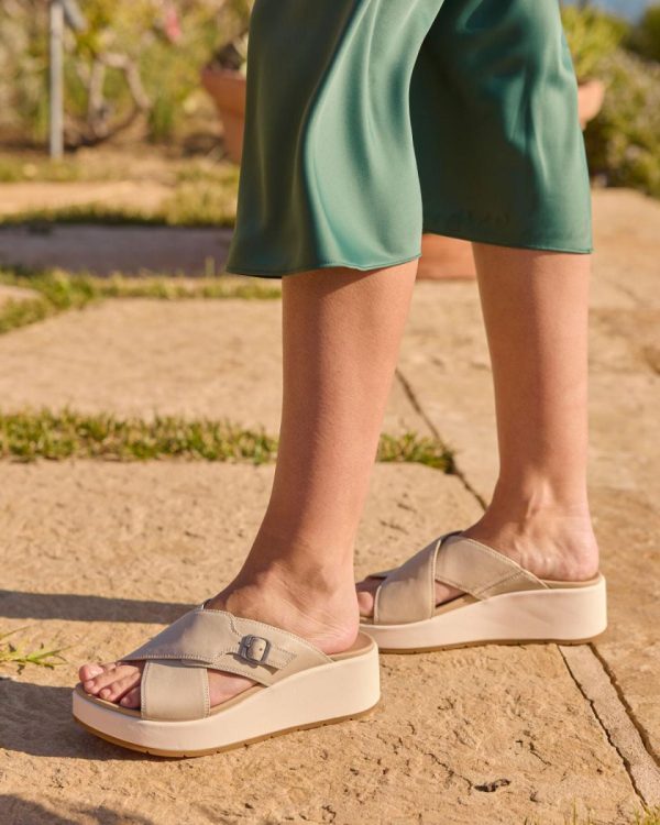 Vividvector.shopd3178144dc 3