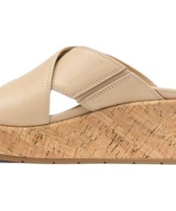 Vividvector.shopd3178144dc 4