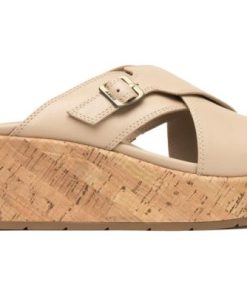 Vividvector.shopd3178144dc 5