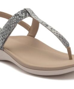 Vividvector.shopd446f58cb7 1