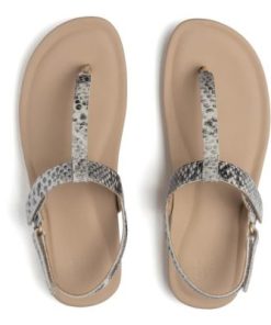 Vividvector.shopd446f58cb7 2