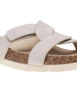 Vividvector.shopd4c5b7ffc7 1