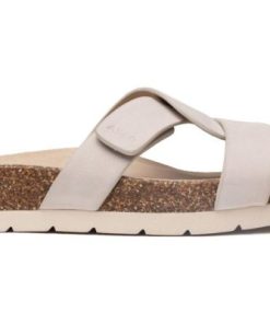 Vividvector.shopd4c5b7ffc7 4