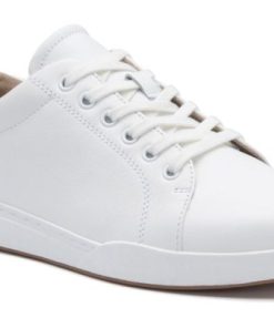 Vividvector.shopdb0c0f2201 1