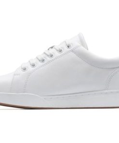 Vividvector.shopdb0c0f2201 2