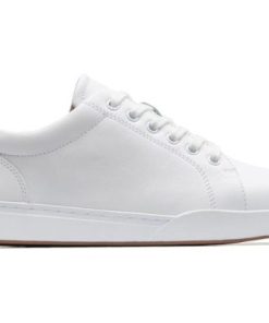 Vividvector.shopdb0c0f2201 3