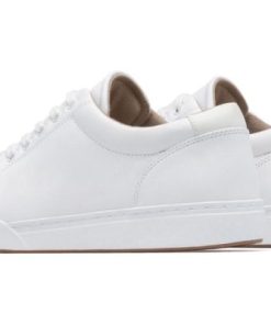 Vividvector.shopdb0c0f2201 4