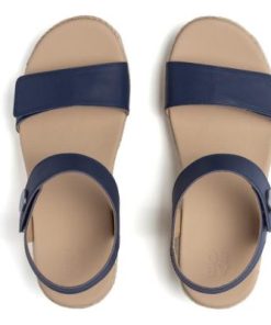 Vividvector.shopdfb3e7e4eb 2