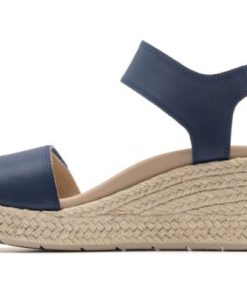 Vividvector.shopdfb3e7e4eb 4