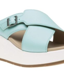 Vividvector.shope18e3e9b6e 1