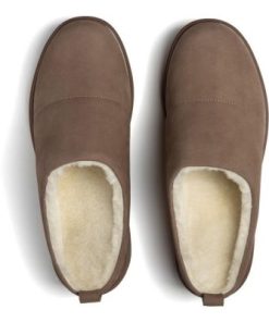 Vividvector.shope218c41d50 2