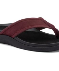 Vividvector.shope30f57fe8b 1