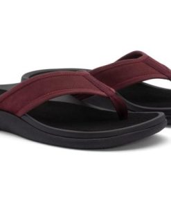 Vividvector.shope30f57fe8b 2