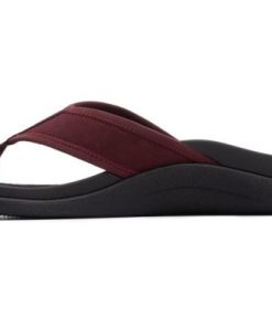 Vividvector.shope30f57fe8b 4