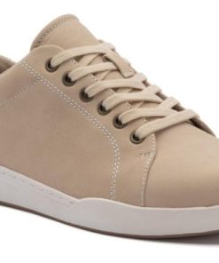 Vividvector.shope3857433f5 1