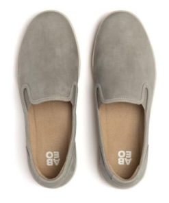 Vividvector.shope5c84c118f 2