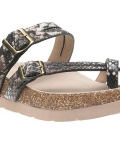 Vividvector.shope75bdb0d4a 1