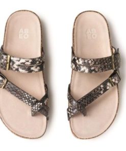 Vividvector.shope75bdb0d4a 2