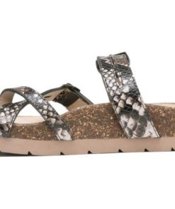 Vividvector.shope75bdb0d4a 4