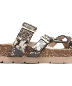 Vividvector.shope75bdb0d4a 5