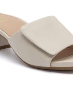 Vividvector.shope8a836e5a1 1