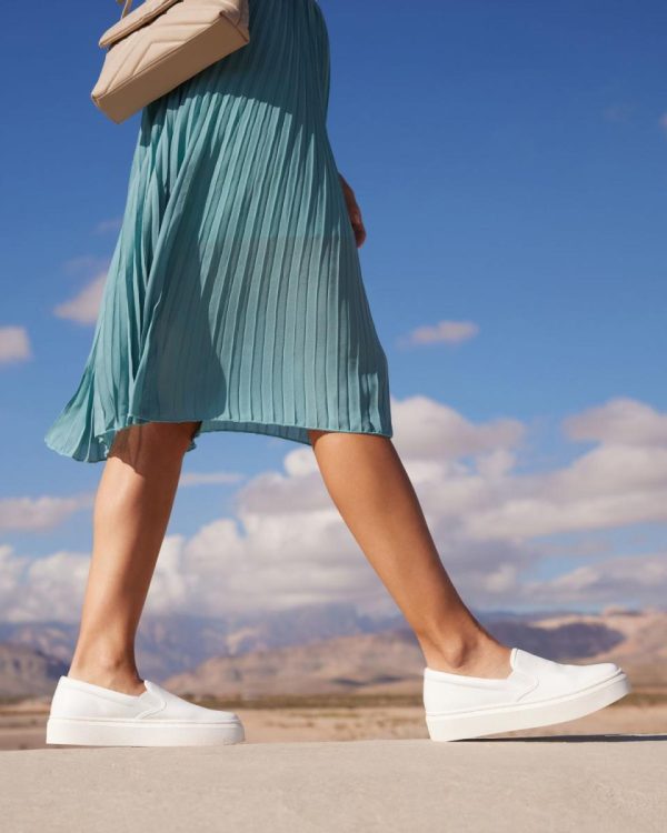 Vividvector.shope925b6f38a 3