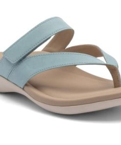 Vividvector.shopeb3fd81ea8 1