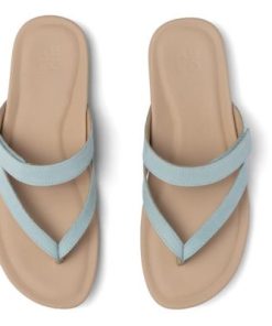 Vividvector.shopeb3fd81ea8 2