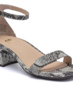 Vividvector.shopec730a6b8b 1