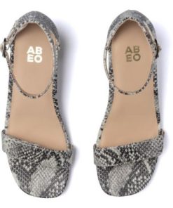 Vividvector.shopec730a6b8b 2