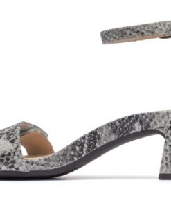 Vividvector.shopec730a6b8b 4